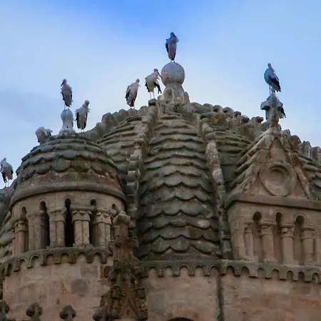 아파트 Apartamento En La Ruta Del Romanico De 사모라